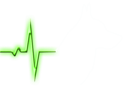ErDentalVet